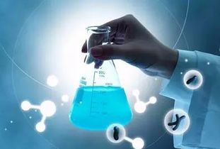 柳橙網最新留學動態 一網打盡留學就業、流程與資訊（123頁全解析）